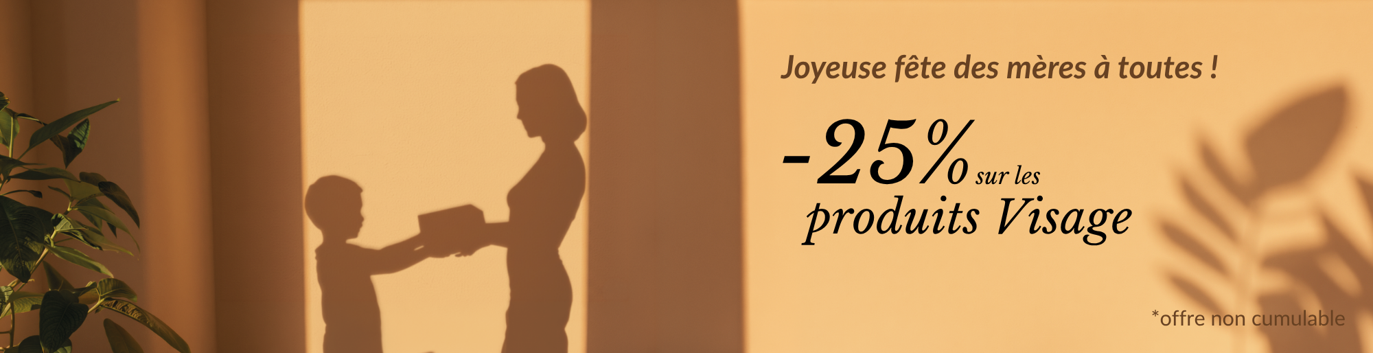 Offre de Mai (-25% sur la Gamme Visage)